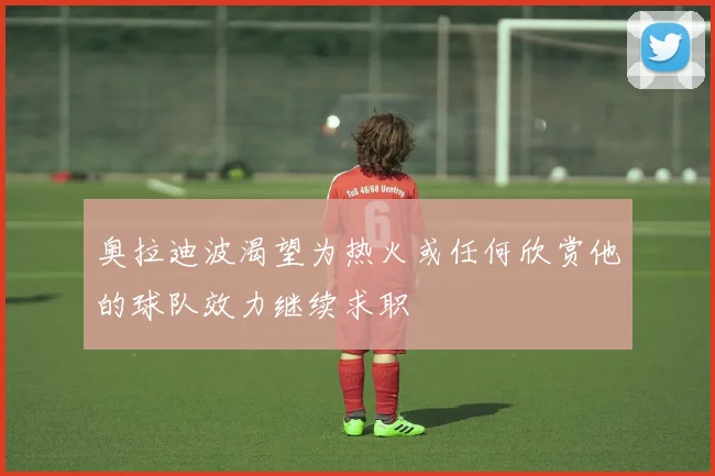 奥拉迪波渴望为热火或任何欣赏他的球队效力继续求职